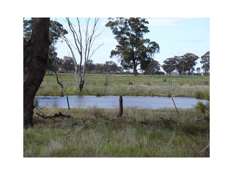 Thyra Road, Moama NSW 2731