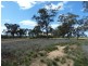 Thyra Road, Moama NSW 2731