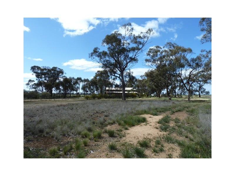 Thyra Road, Moama NSW 2731