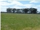 Thyra Road, Moama NSW 2731