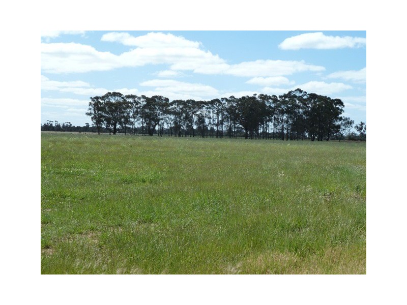 Thyra Road, Moama NSW 2731