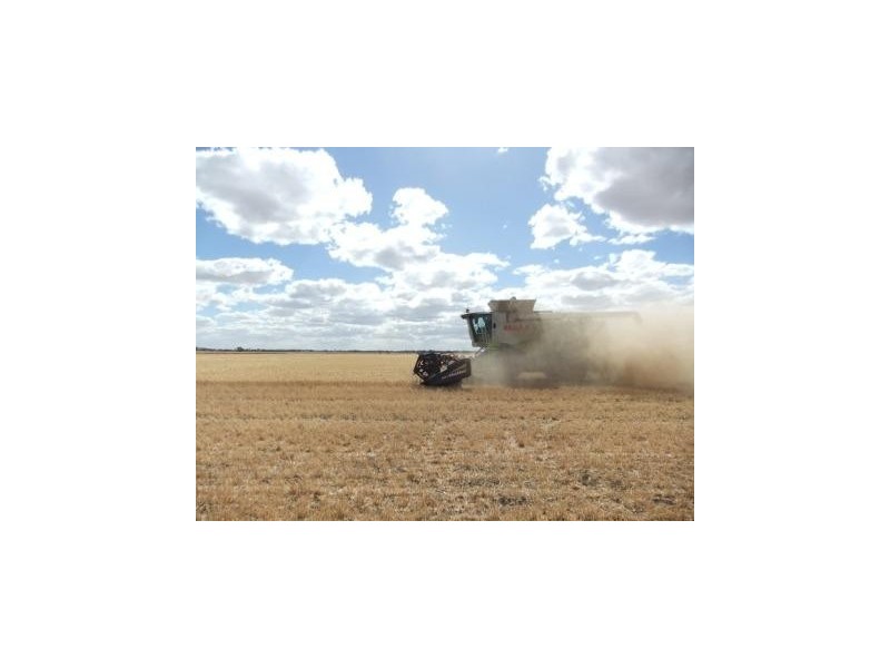 * Cnr Lynas Road and Loughnans Road, Charlton VIC 3525