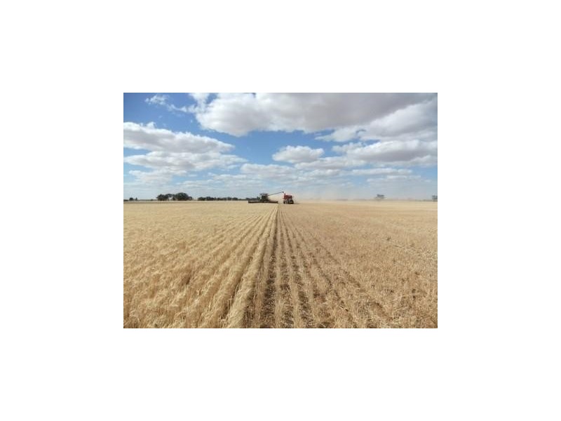 * Cnr Lynas Road and Loughnans Road, Charlton VIC 3525