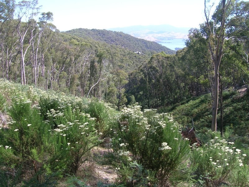 195 Sonnberg Drive, Bonnie Doon VIC 3720