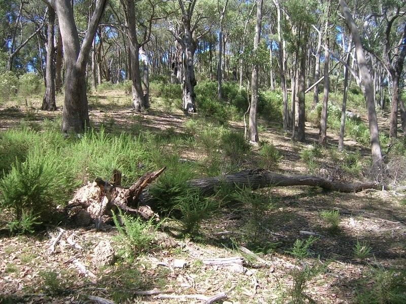 195 Sonnberg Drive, Bonnie Doon VIC 3720