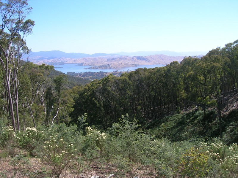 195 Sonnberg Drive, Bonnie Doon VIC 3720