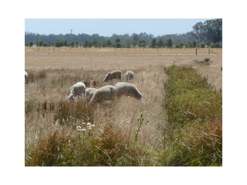 606a Mckenzie Rd, Echuca VIC 3564