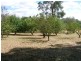 326 Rubicon Road, Rubicon VIC 3712