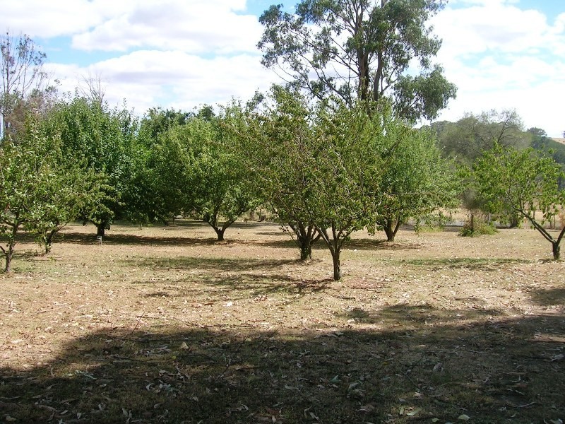 326 Rubicon Road, Rubicon VIC 3712