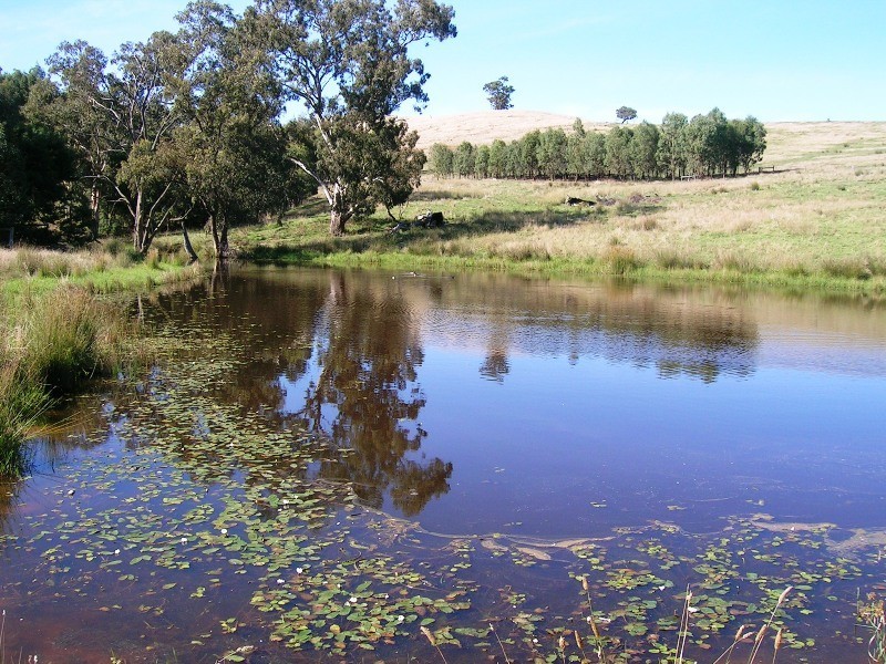 242 Spring Creek Road, Alexandra VIC 3714