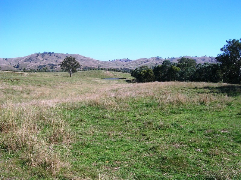 242 Spring Creek Road, Alexandra VIC 3714