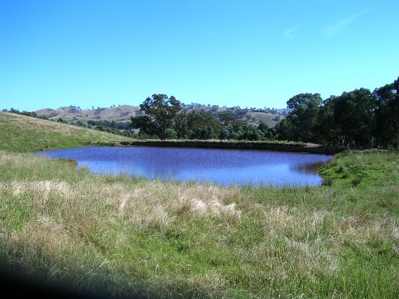 242 Spring Creek Road, Alexandra VIC 3714