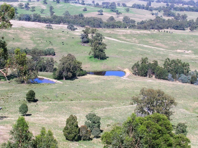 242 Spring Creek Road, Alexandra VIC 3714