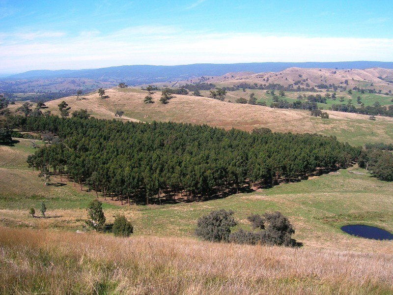 242 Spring Creek Road, Alexandra VIC 3714