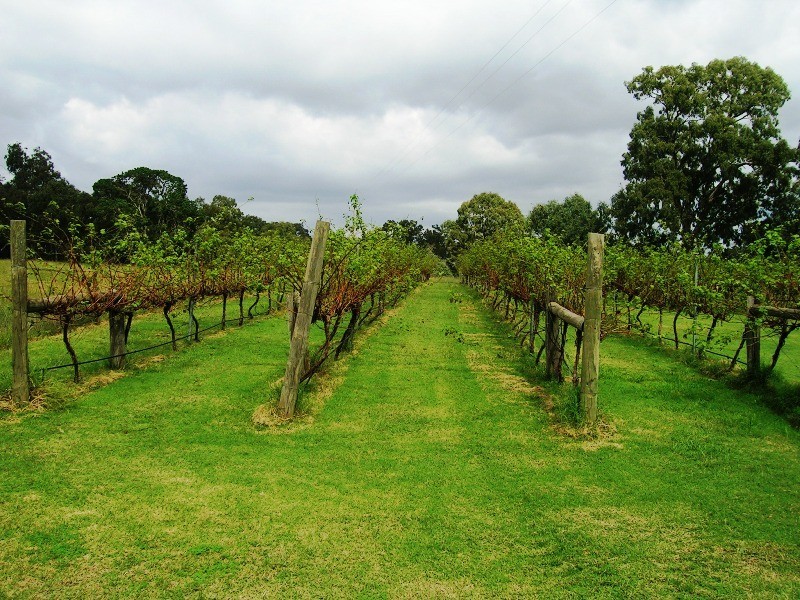 242 Spring Creek Road, Alexandra VIC 3714