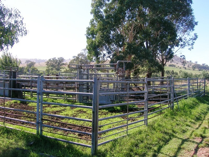 242 Spring Creek Road, Alexandra VIC 3714