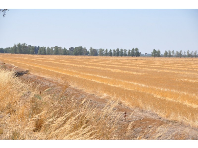 483 Larissa Road, Katunga VIC 3640