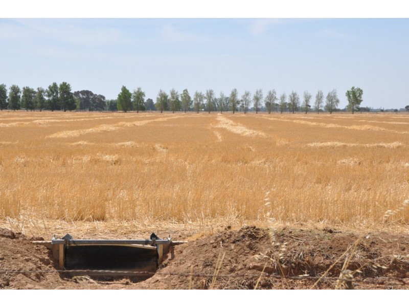 483 Larissa Road, Katunga VIC 3640