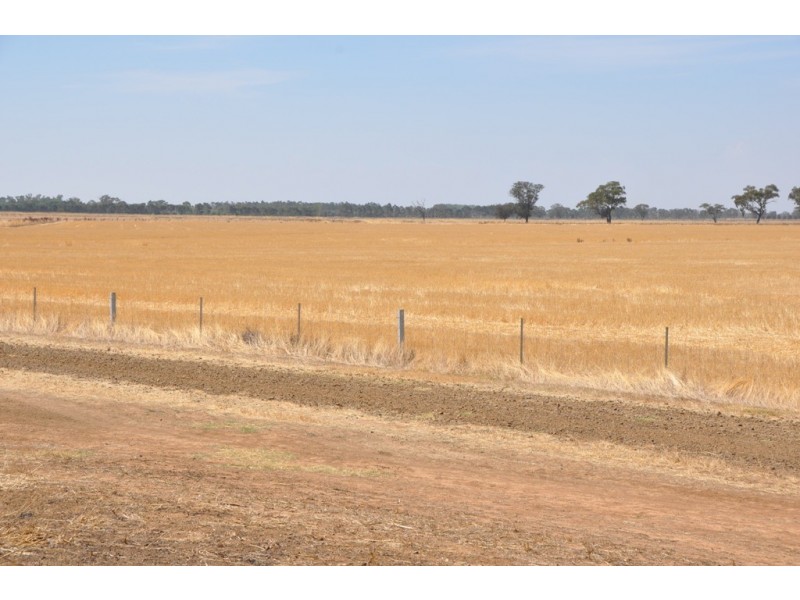 483 Larissa Road, Katunga VIC 3640