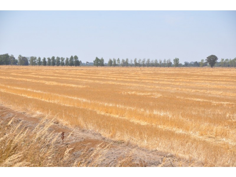 483 Larissa Road, Katunga VIC 3640