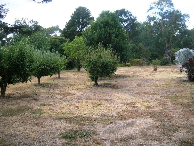 171 Grant St, Alexandra VIC 3714