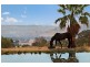 1323 Tarcombe Road, Avenel VIC 3664