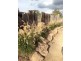 1323 Tarcombe Road, Avenel VIC 3664