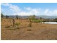 1323 Tarcombe Road, Avenel VIC 3664