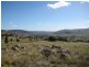 1323 Tarcombe Road, Avenel VIC 3664