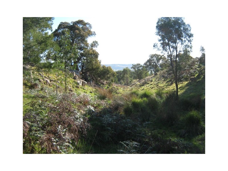 1323 Tarcombe Road, Avenel VIC 3664