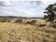 1323 Tarcombe Road, Avenel VIC 3664