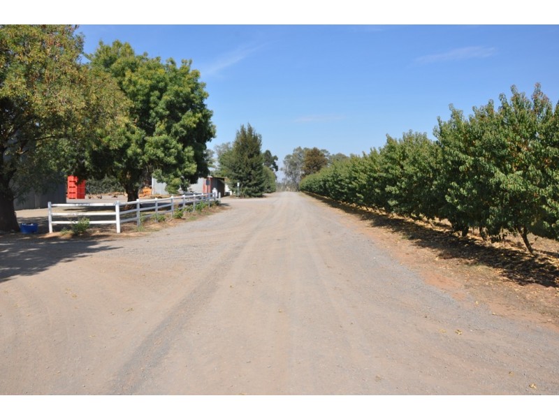 100 Sandilands Road, Bunbartha VIC 3634