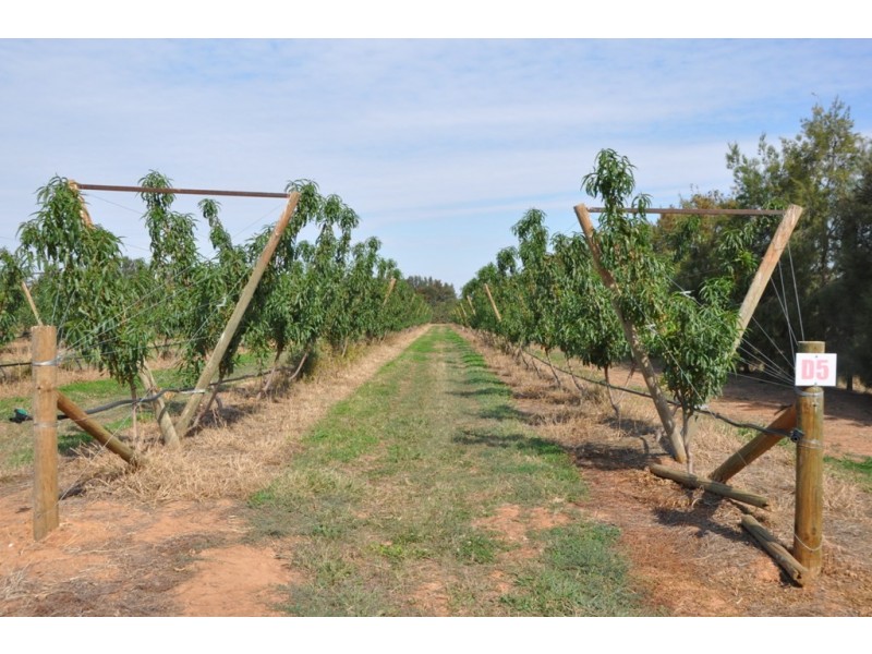 100 Sandilands Road, Bunbartha VIC 3634