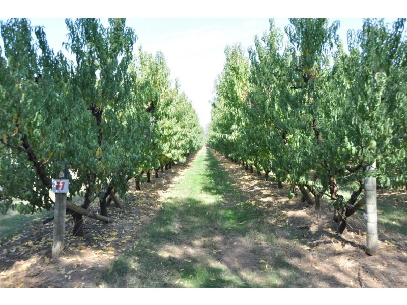 100 Sandilands Road, Bunbartha VIC 3634