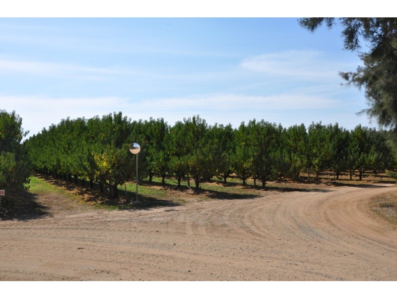 100 Sandilands Road, Bunbartha VIC 3634