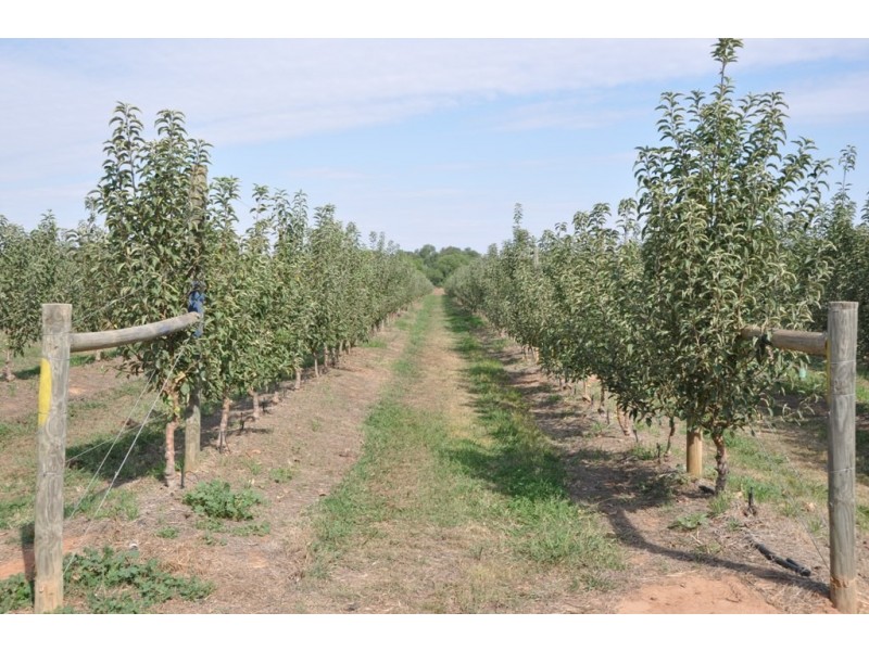 100 Sandilands Road, Bunbartha VIC 3634