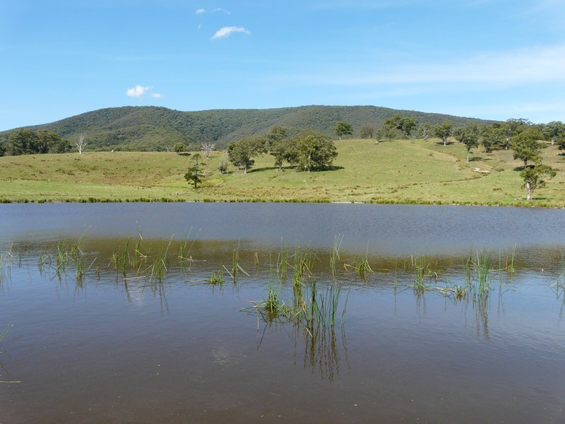 425 Healesville – Koo Wee Rup Road, Healesville VIC 3777