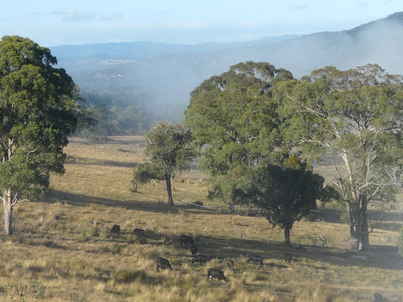 425 Healesville – Koo Wee Rup Road, Healesville VIC 3777