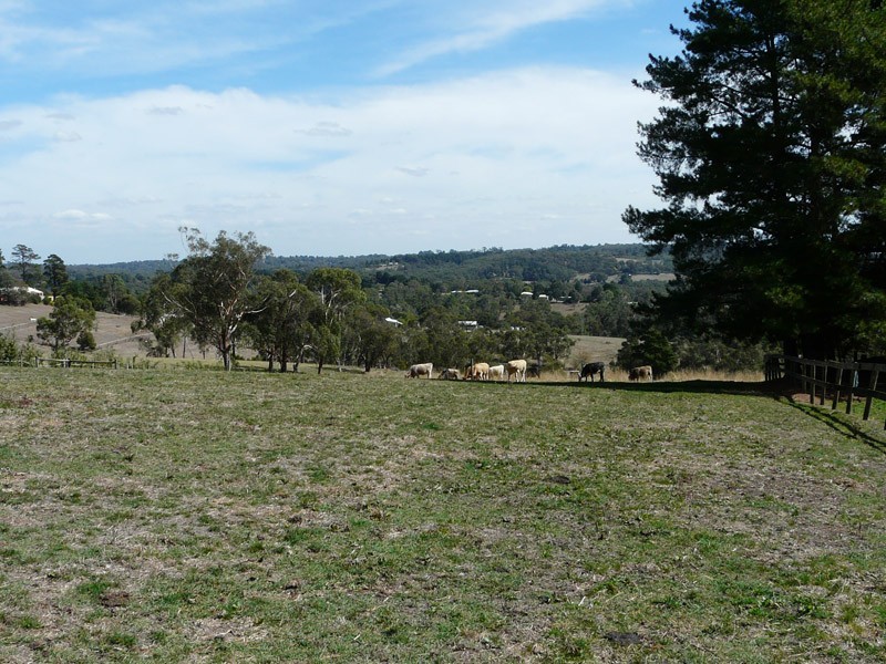 3 Gruyere Road, Gruyere VIC 3770