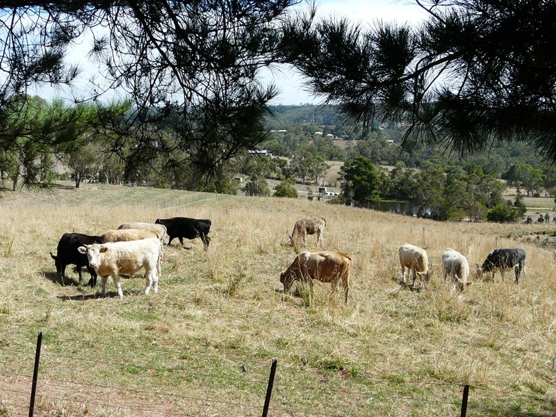 3 Gruyere Road, Gruyere VIC 3770