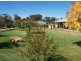 26 Dundas Road, Wangaratta South VIC 3678