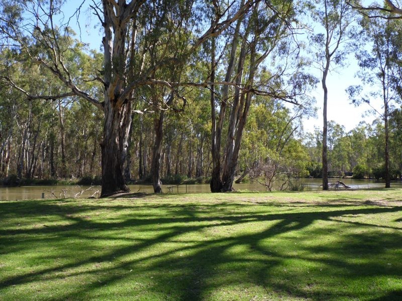 Unit 31 “Tarragon Lodge” Picnic Point, Mathoura NSW 2710