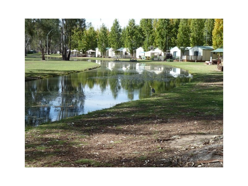 Unit 31 “Tarragon Lodge” Picnic Point, Mathoura NSW 2710