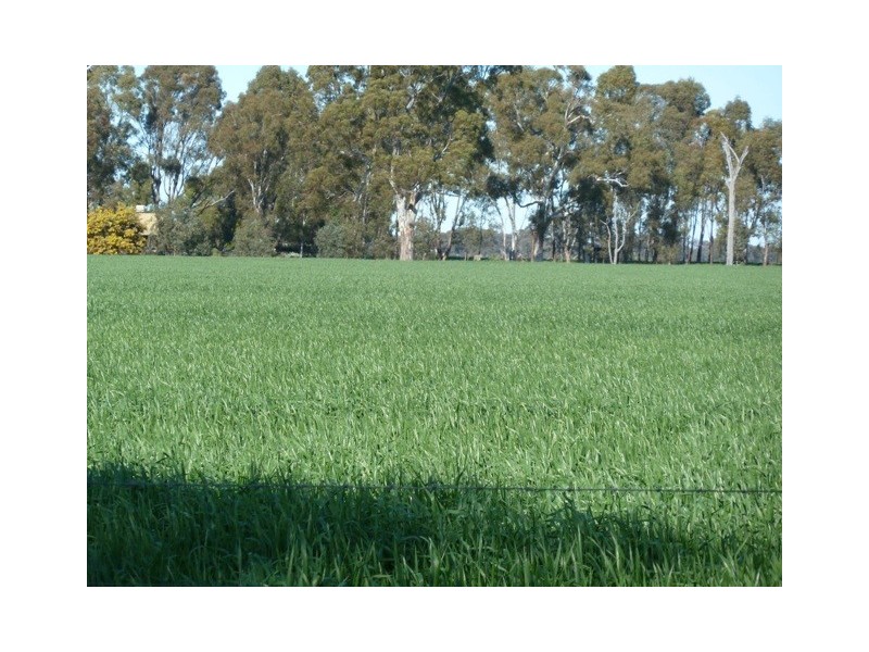2005 Lot 2 Day Road, Echuca VIC 3564