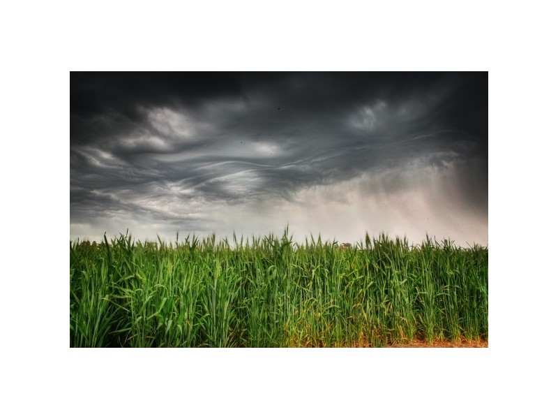 2005 Lot 2 Day Road, Echuca VIC 3564