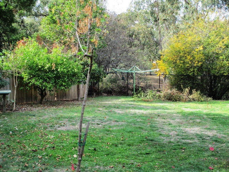 24 Hillside Avenue, Eildon VIC 3713