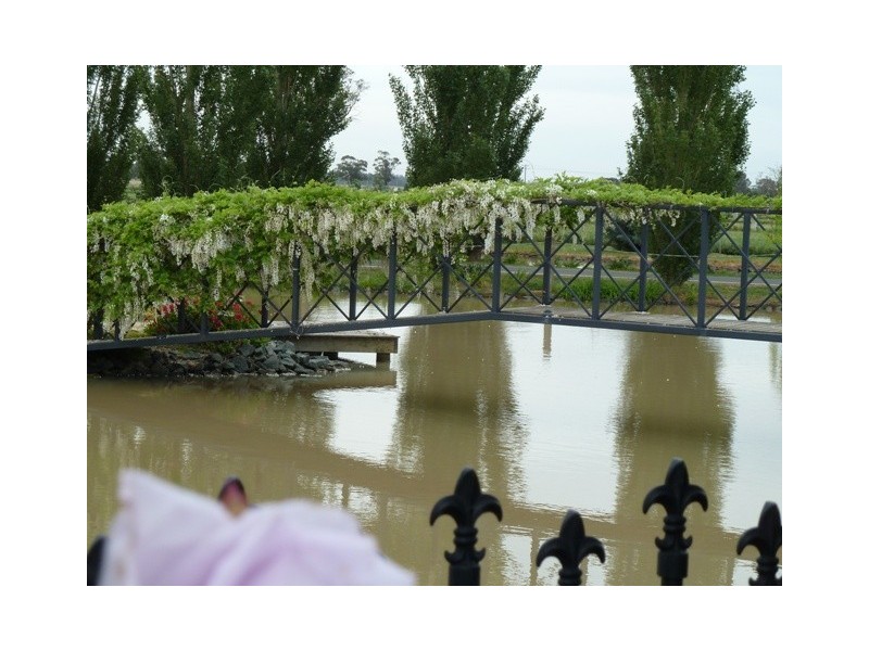 223 McSwains Road, Echuca VIC 3564