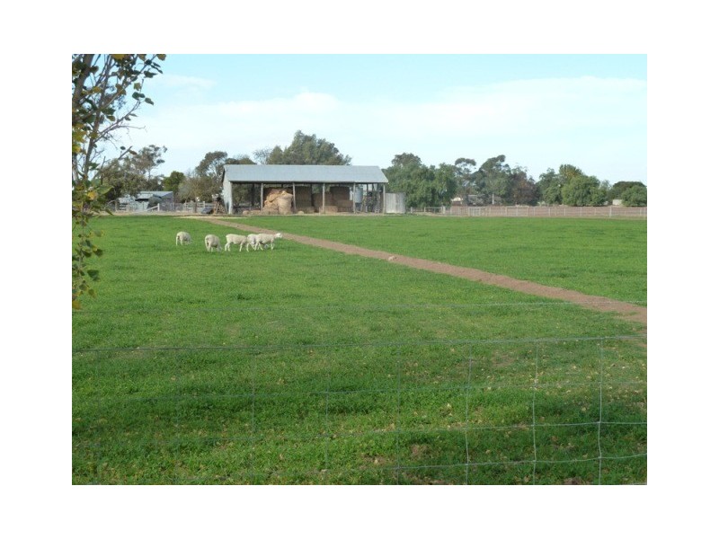 223 McSwains Road, Echuca VIC 3564