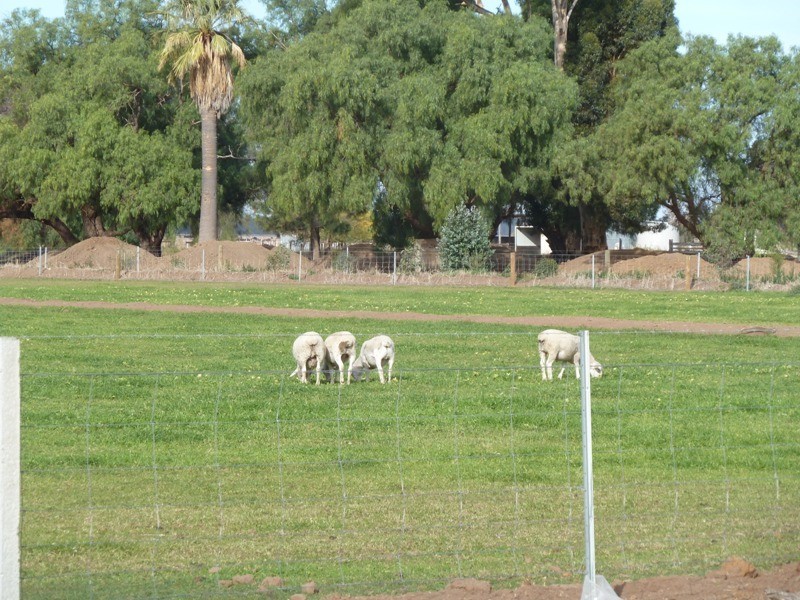 223 McSwains Road, Echuca VIC 3564