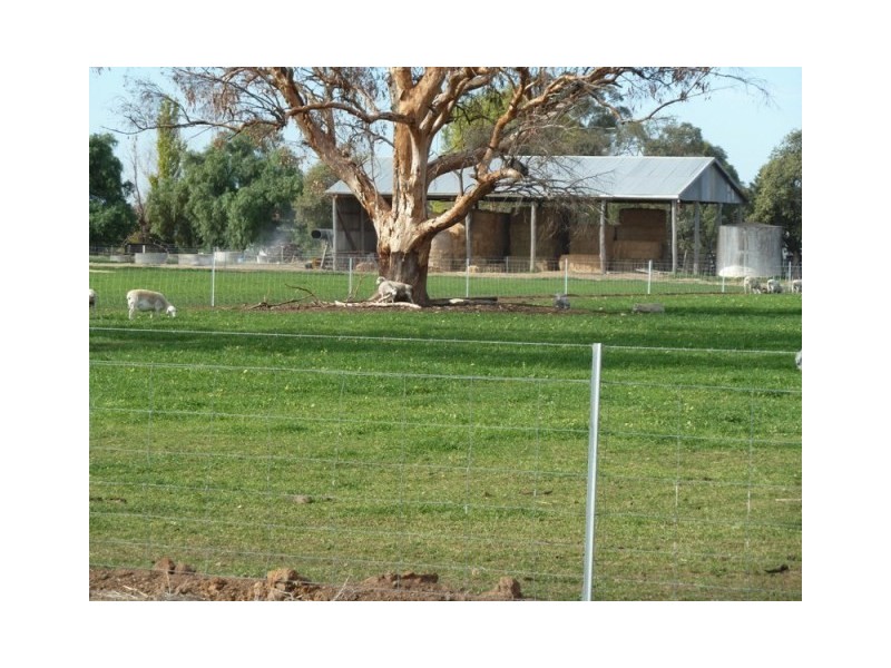 223 McSwains Road, Echuca VIC 3564